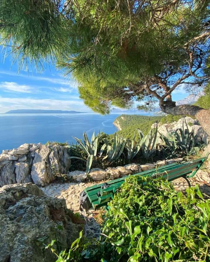 Apartman Laura Galileo Blizu Centra I Plaze Makarska Eksteriør bilde
